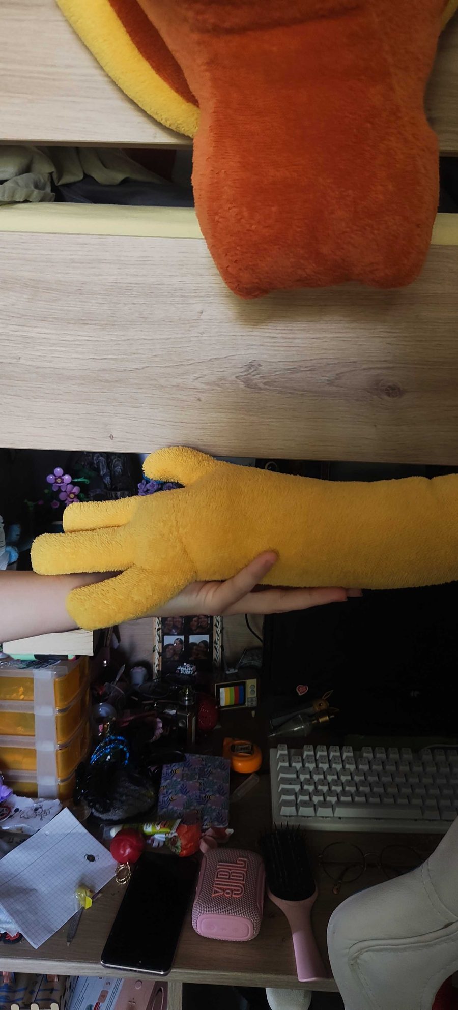 Main de la peluche comparée à une vraie main